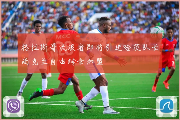 格拉斯哥流浪者即将引进哈茨队长尚克兰自由转会加盟