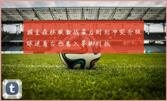 掘金森林狼激战最后时刻冲突升级球迷看台也卷入拳脚对抗